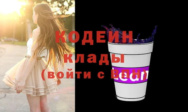 гашик Вязьма