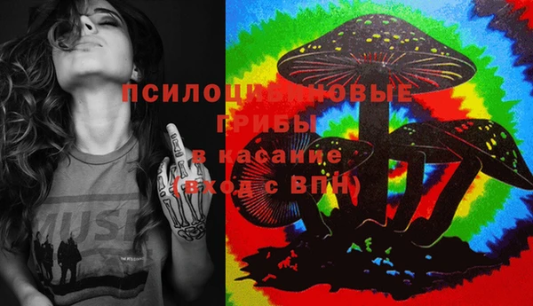 гашик Вязьма