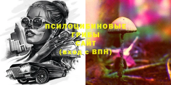 a pvp Вяземский
