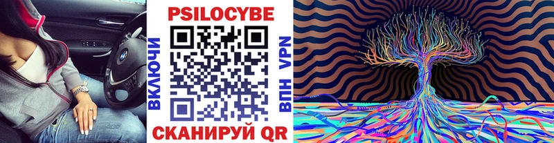 закладка Елизаветинская Галлюциногенные грибы Magic Shrooms
